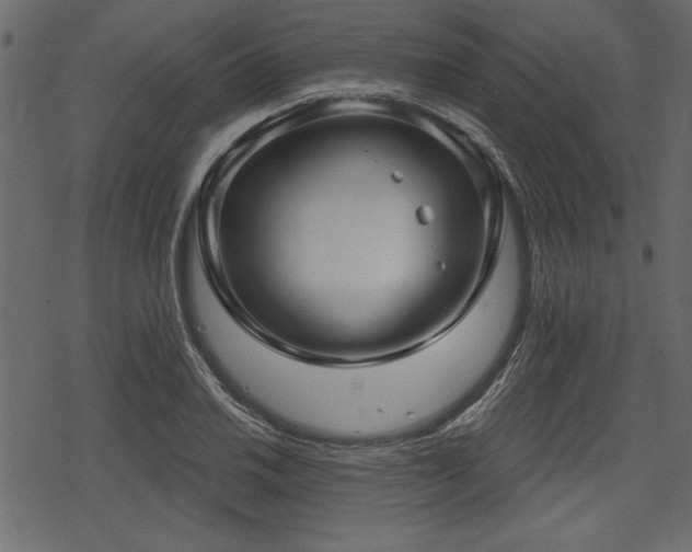 X0000078291030200611031226