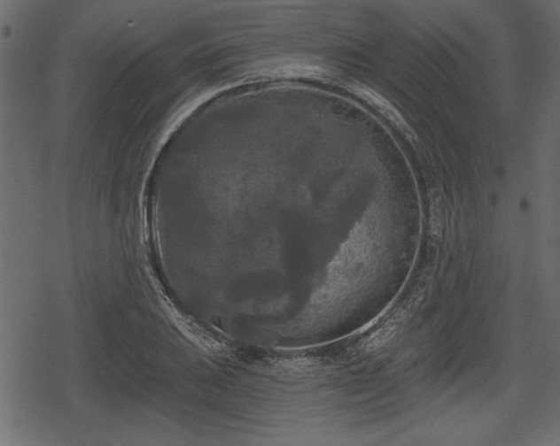 X0000078291031200611031226