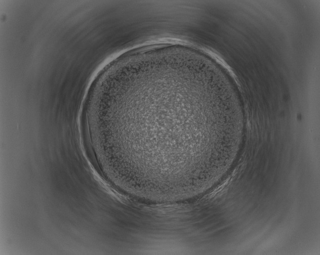 X0000078291032200611031226