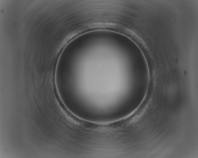 X0000078291033200611031226