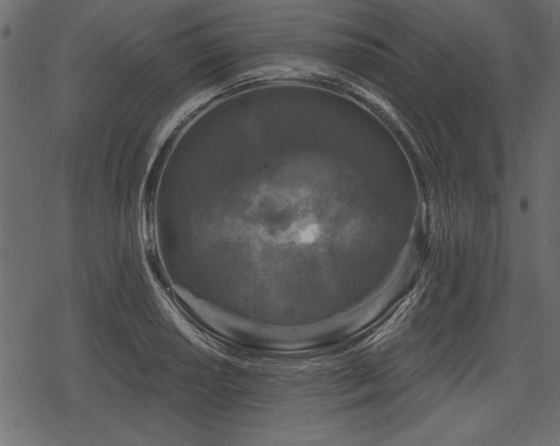 X0000078291034200611031226