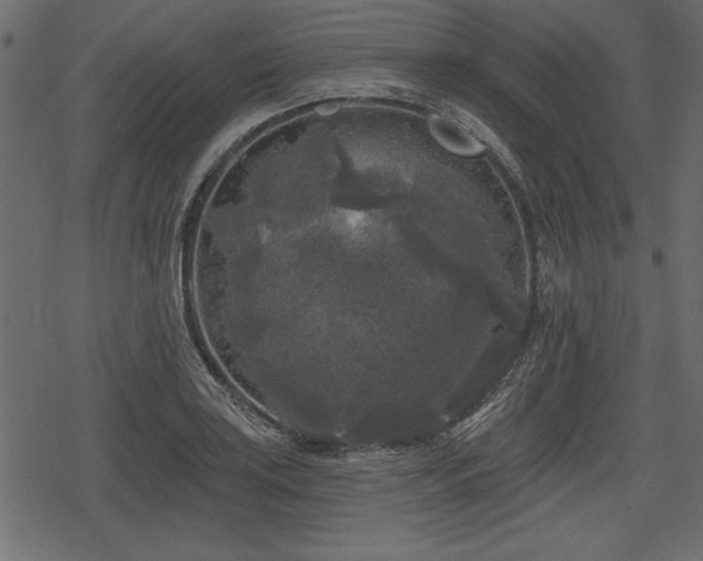 X0000078291035200611031226