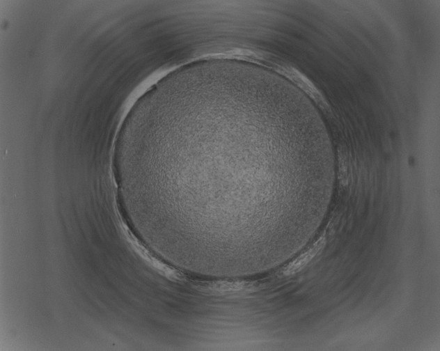 X0000078291036200611031226