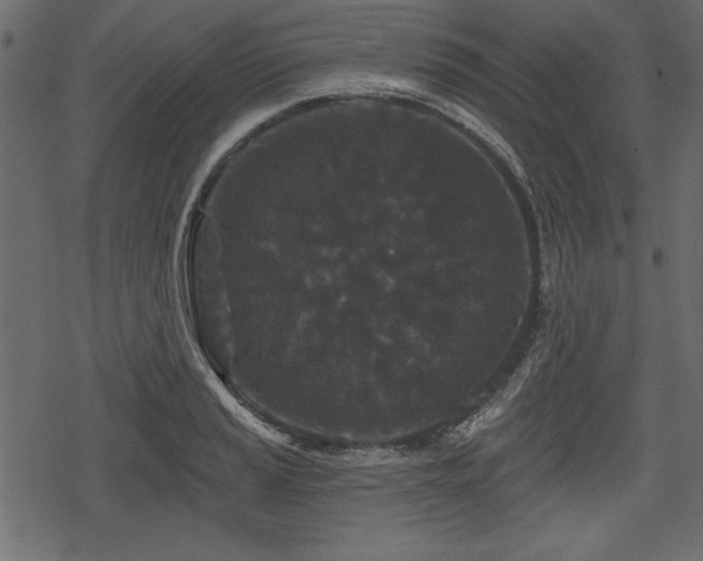 X0000078291037200611031226