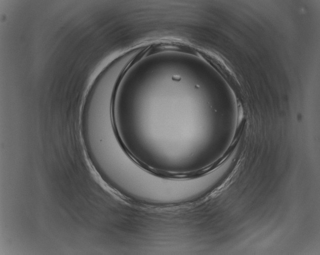 X0000078291038200611031226