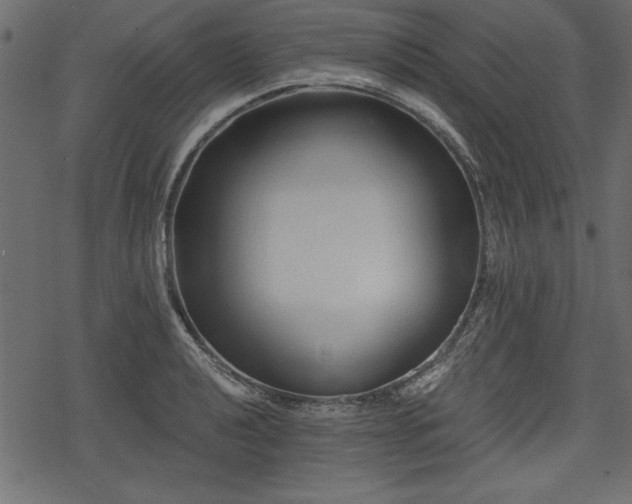 X0000078291040200611031226