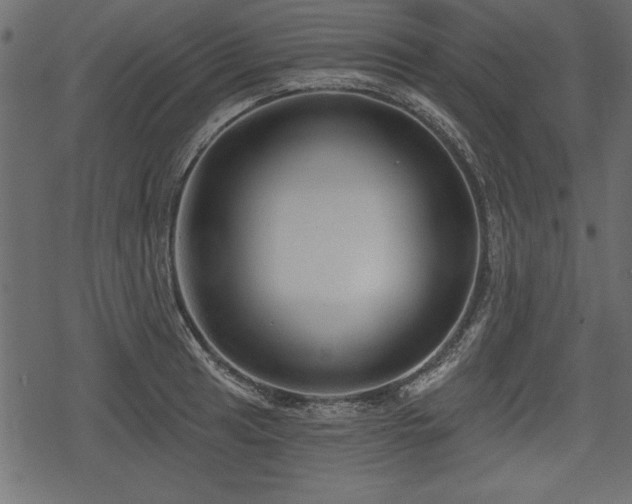 X0000078291041200611031226