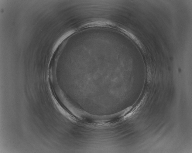 X0000078291042200611031226