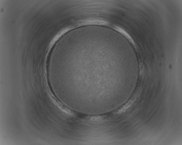 X0000078291043200611031226