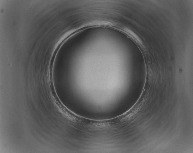 X0000078291044200611031226