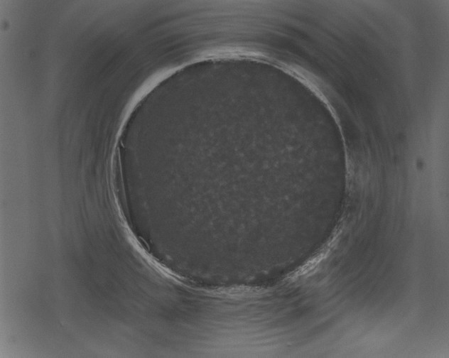 X0000078291045200611031227