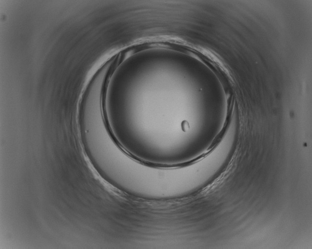 X0000078291046200611031227