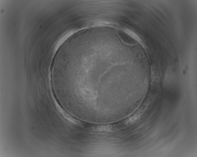 X0000078291047200611031227