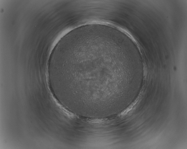 X0000078291048200611031227