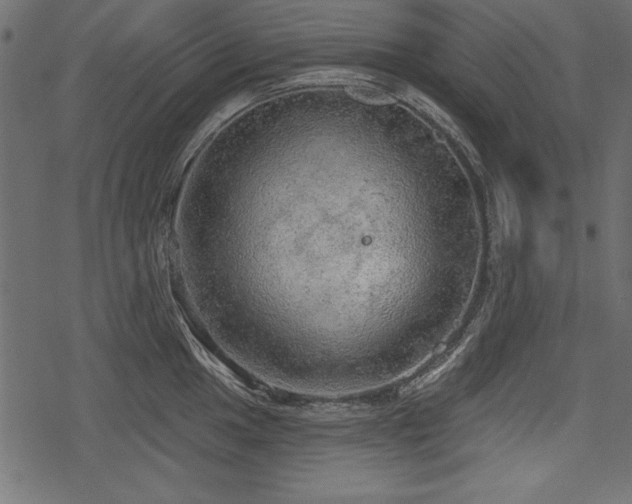 X0000078291049200611031227