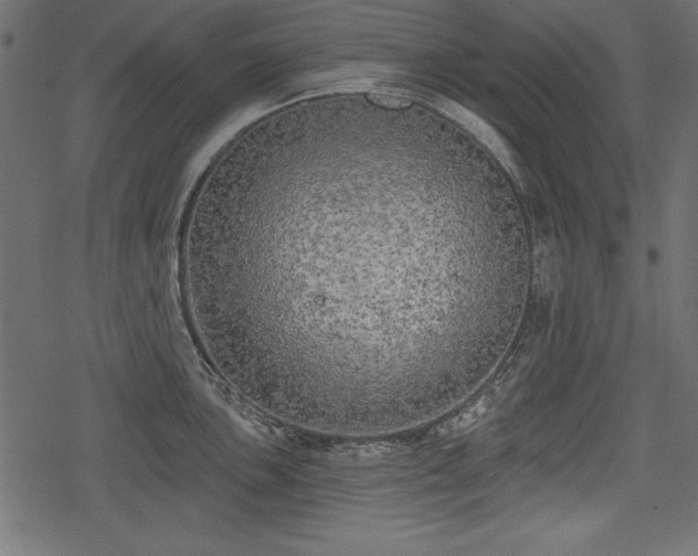 X0000078291051200611031227