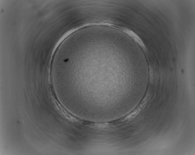 X0000078291052200611031227