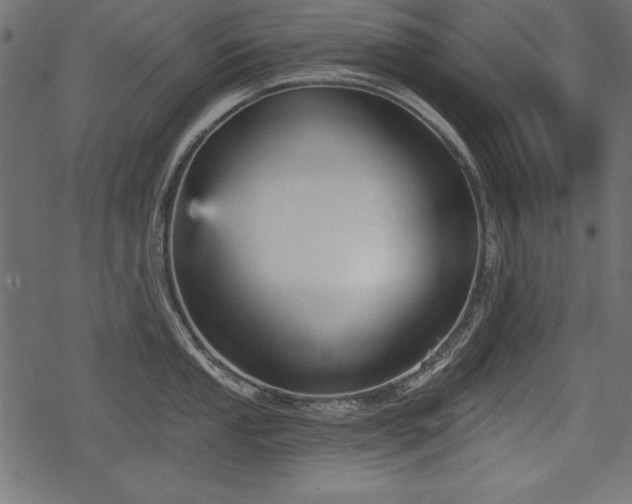 X0000078291053200611031227