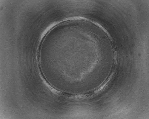 X0000078291054200611031227