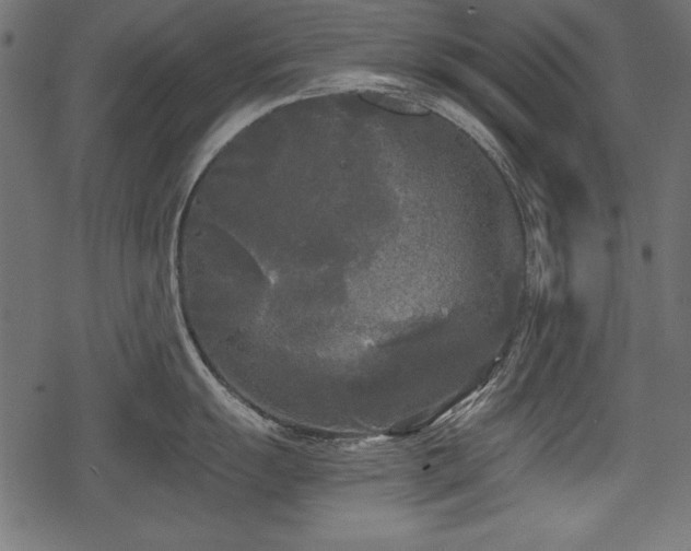 X0000078291055200611031227