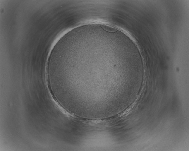 X0000078291056200611031227