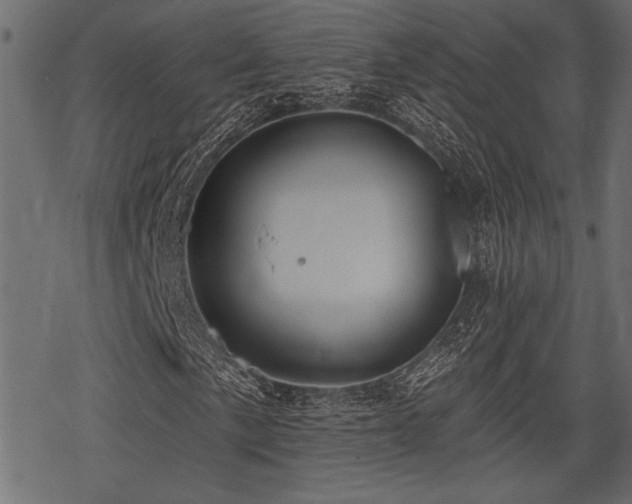 X0000078291057200611031226