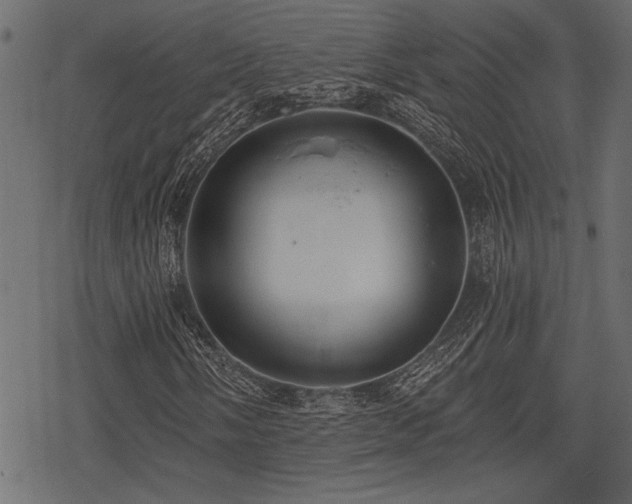 X0000078291058200611031226