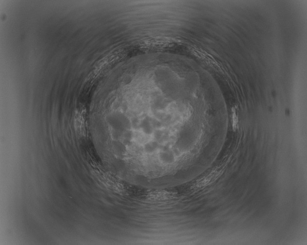 X0000078291059200611031226