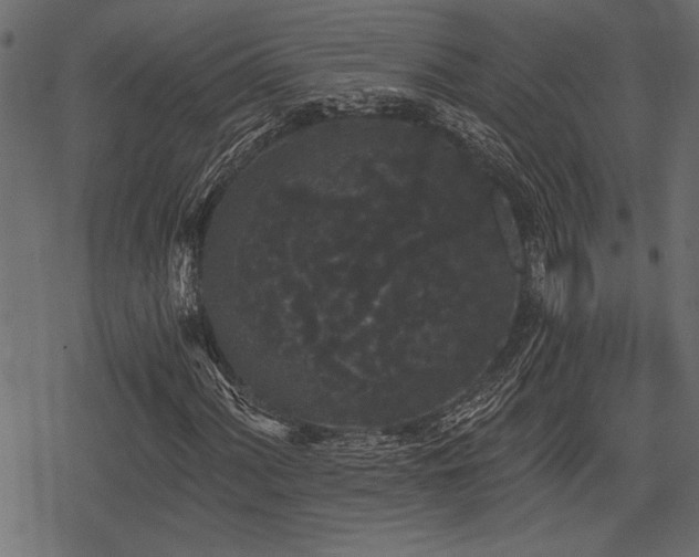 X0000078291060200611031226