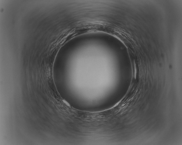 X0000078291061200611031226