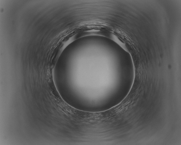 X0000078291062200611031226