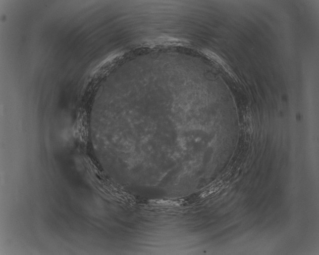 X0000078291063200611031226