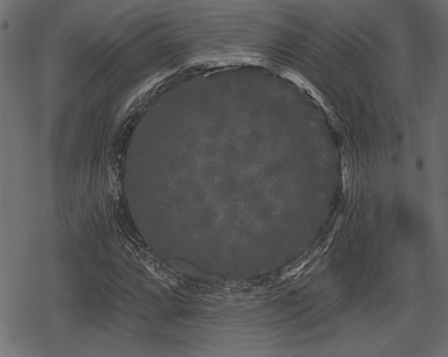 X0000078291064200611031226