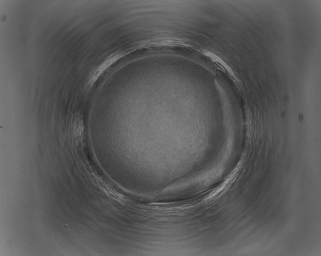 X0000078291065200611031226