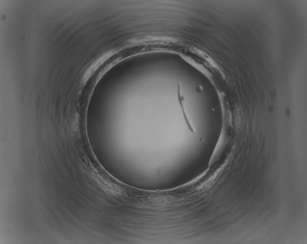 X0000078291066200611031226