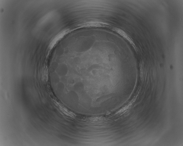 X0000078291067200611031226