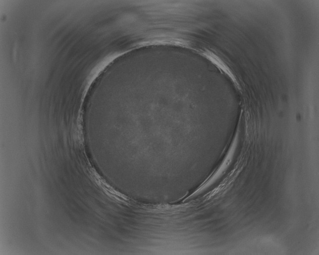 X0000078291068200611031226