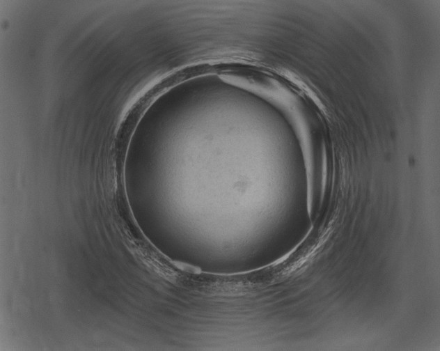 X0000078291069200611031226