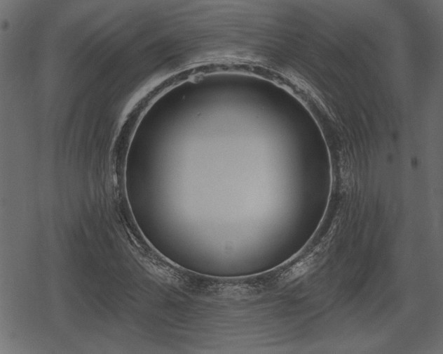 X0000078291070200611031226