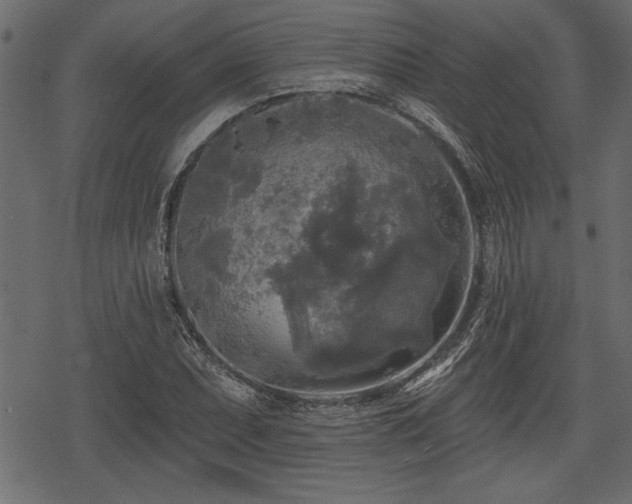 X0000078291071200611031226