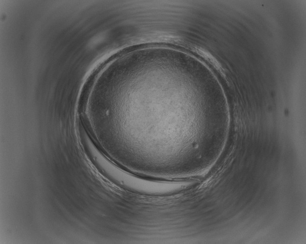 X0000078291072200611031226