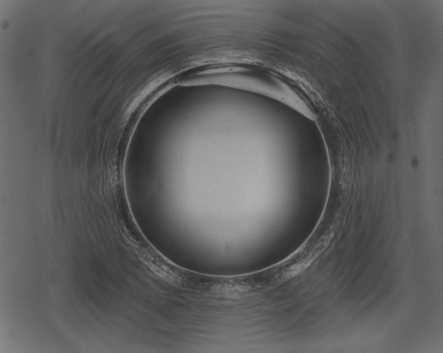 X0000078291073200611031226