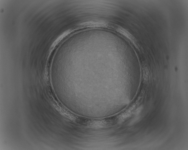 X0000078291074200611031226