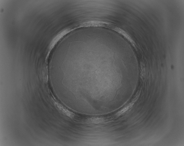 X0000078291075200611031226