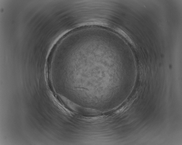 X0000078291076200611031226