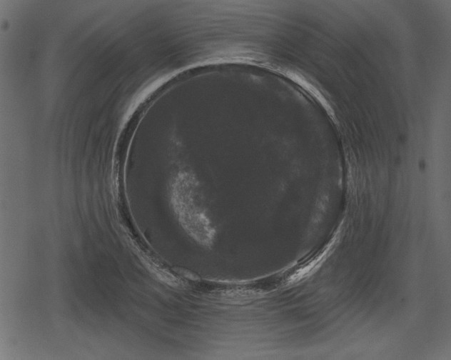 X0000078291077200611031226