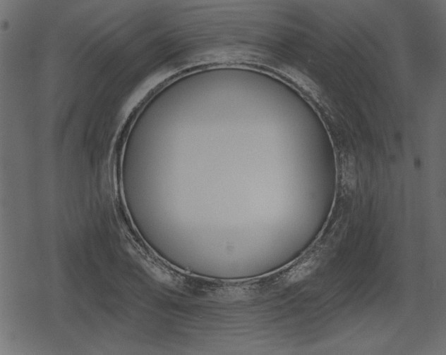 X0000078291078200611031226