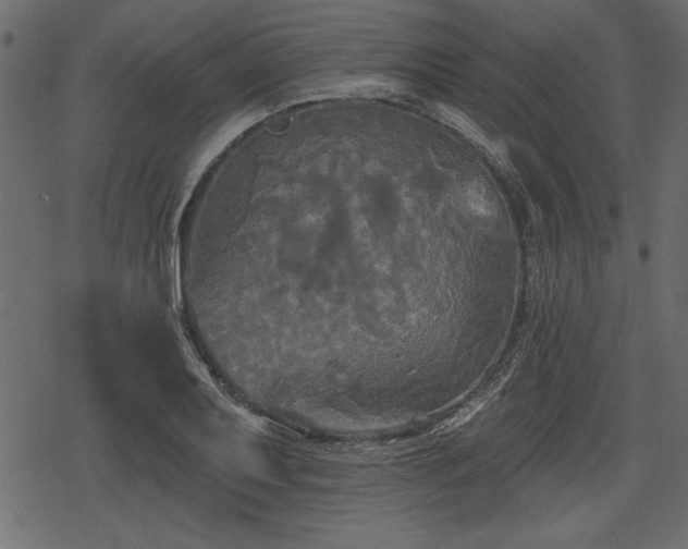 X0000078291079200611031226