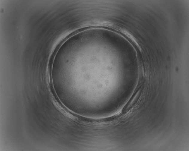 X0000078291080200611031226