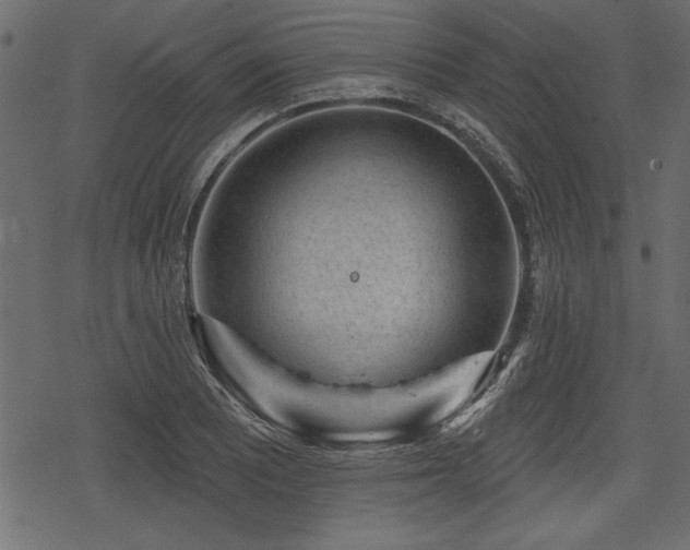 X0000078291081200611031226